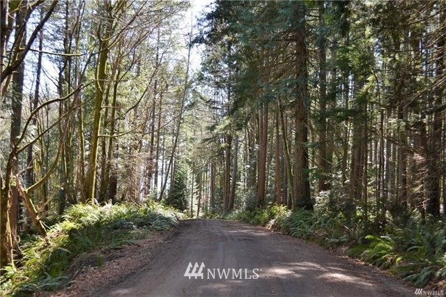 999 Gustavson Road Quilcene, WA 98376 - Photo 4 of 6