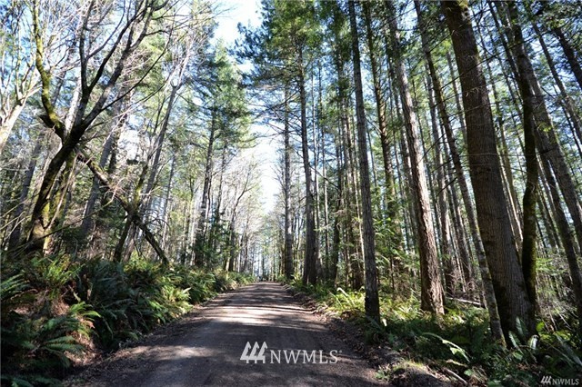 999 Gustavson Road Quilcene, WA 98376 - Photo 5 of 6