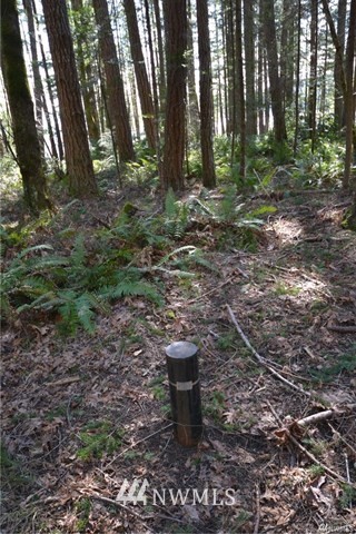 999 Gustavson Road Quilcene, WA 98376 - Photo 6 of 6