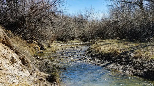 $95,000 | 161 Colorado Land & Livestock, Rye, CO 81069