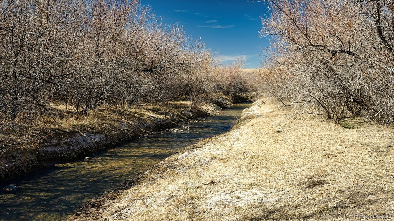 161 Colorado Land & Livestock Rye, CO 81069 - Photo 11 of 22