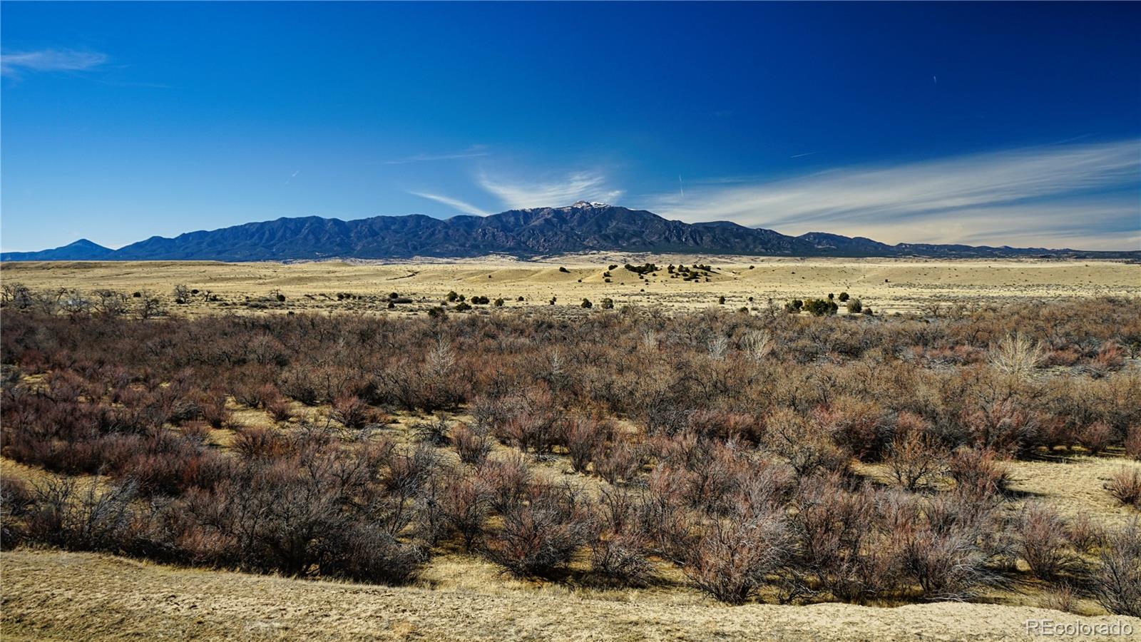 161 Colorado Land & Livestock Rye, CO 81069 - Photo 12 of 22