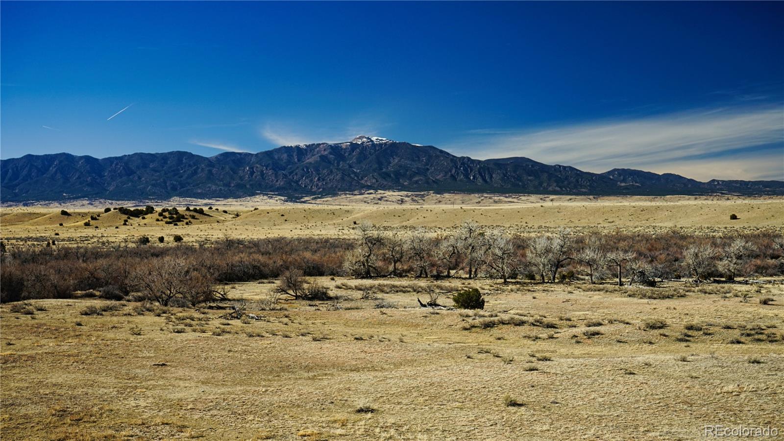 161 Colorado Land & Livestock Rye, CO 81069 - Photo 13 of 22