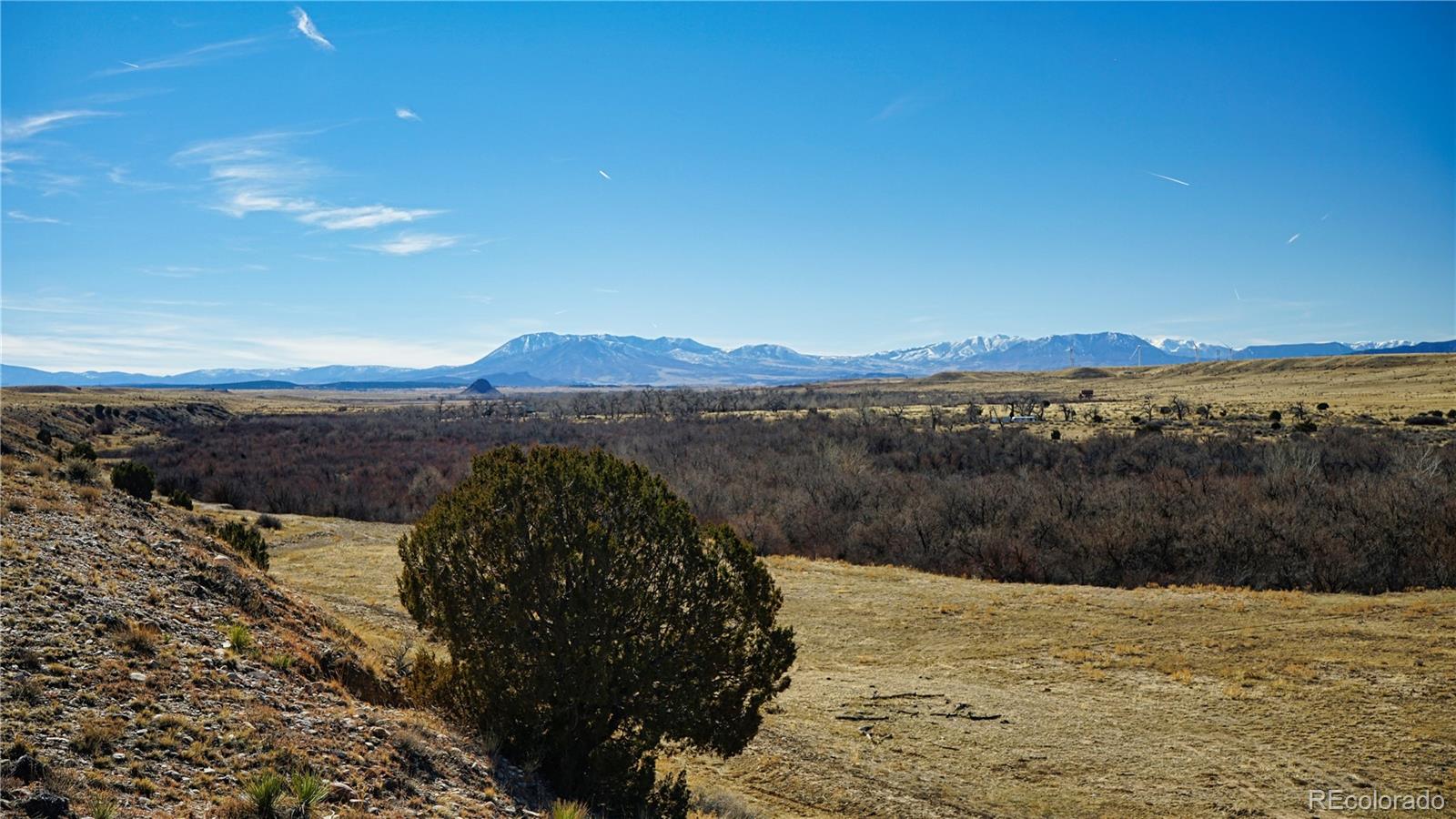 161 Colorado Land & Livestock Rye, CO 81069 - Photo 15 of 22