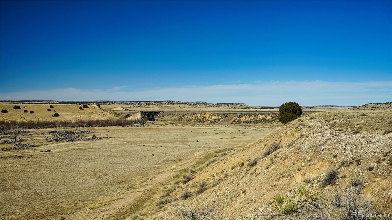 161 Colorado Land & Livestock Rye, CO 81069 - Photo 17 of 22