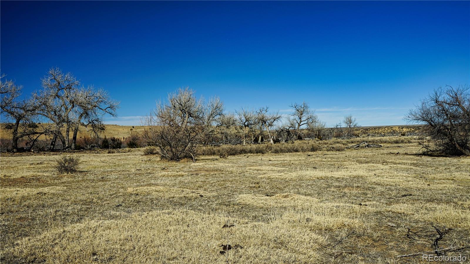 161 Colorado Land & Livestock Rye, CO 81069 - Photo 18 of 22