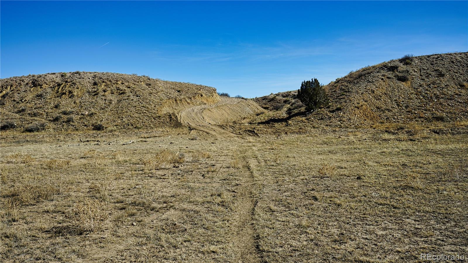 161 Colorado Land & Livestock Rye, CO 81069 - Photo 19 of 22