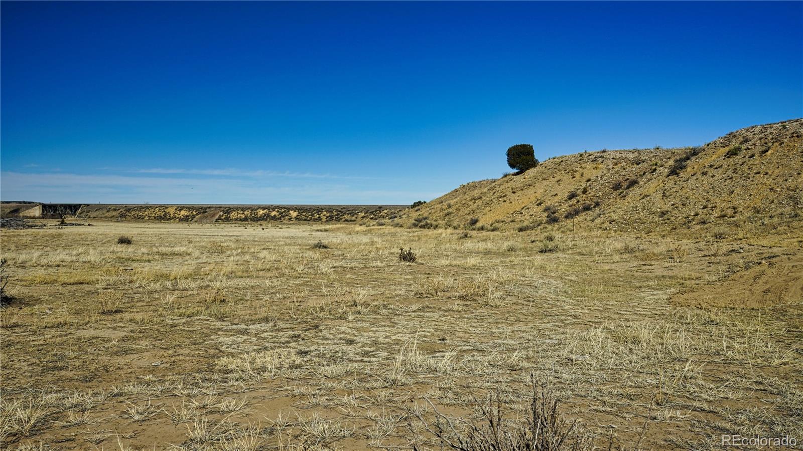 161 Colorado Land & Livestock Rye, CO 81069 - Photo 20 of 22