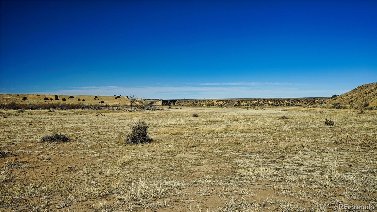 161 Colorado Land & Livestock Rye, CO 81069 - Photo 21 of 22