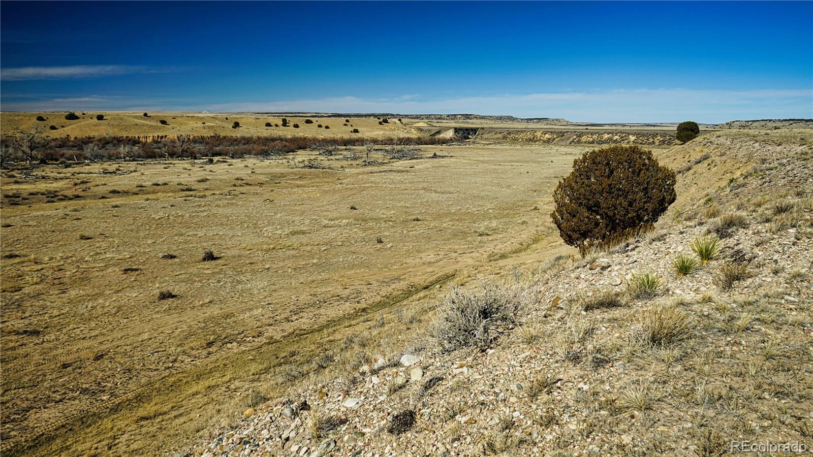 161 Colorado Land & Livestock Rye, CO 81069 - Photo 22 of 22
