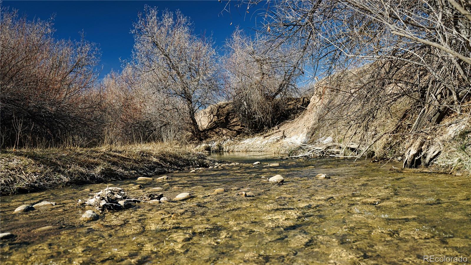 161 Colorado Land & Livestock Rye, CO 81069 - Photo 3 of 22