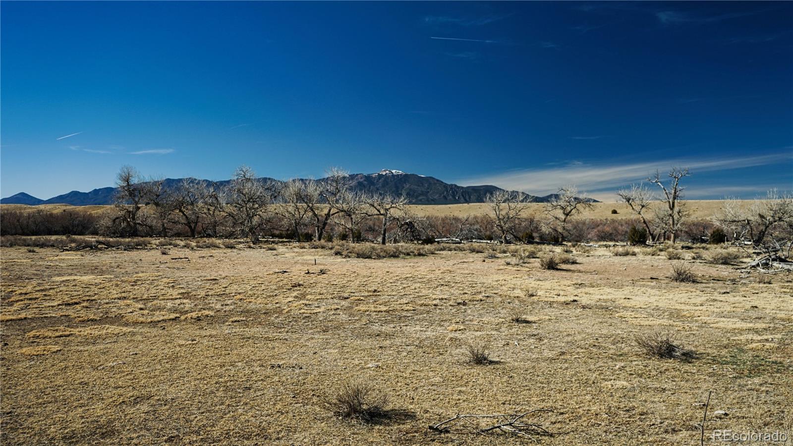 161 Colorado Land & Livestock Rye, CO 81069 - Photo 4 of 22