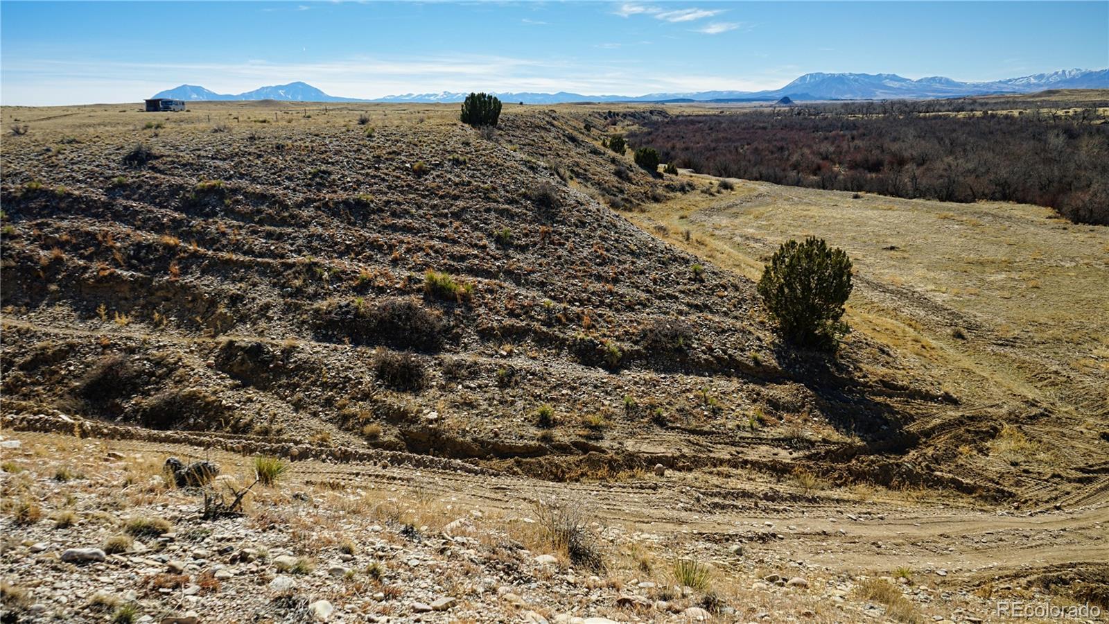 161 Colorado Land & Livestock Rye, CO 81069 - Photo 6 of 22