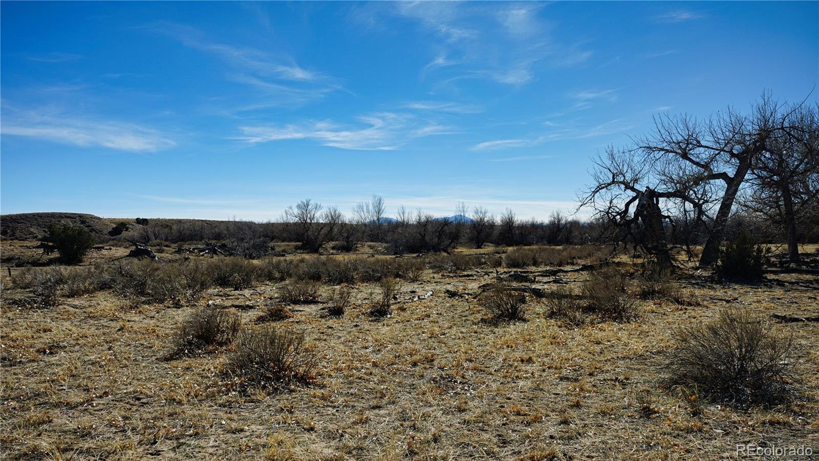 161 Colorado Land & Livestock Rye, CO 81069 - Photo 8 of 22