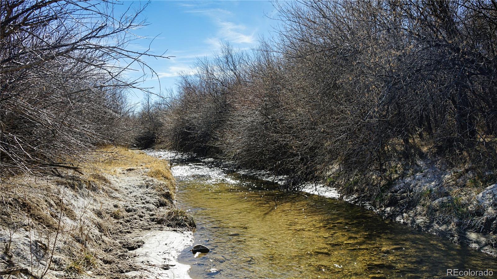 161 Colorado Land & Livestock Rye, CO 81069 - Photo 9 of 22