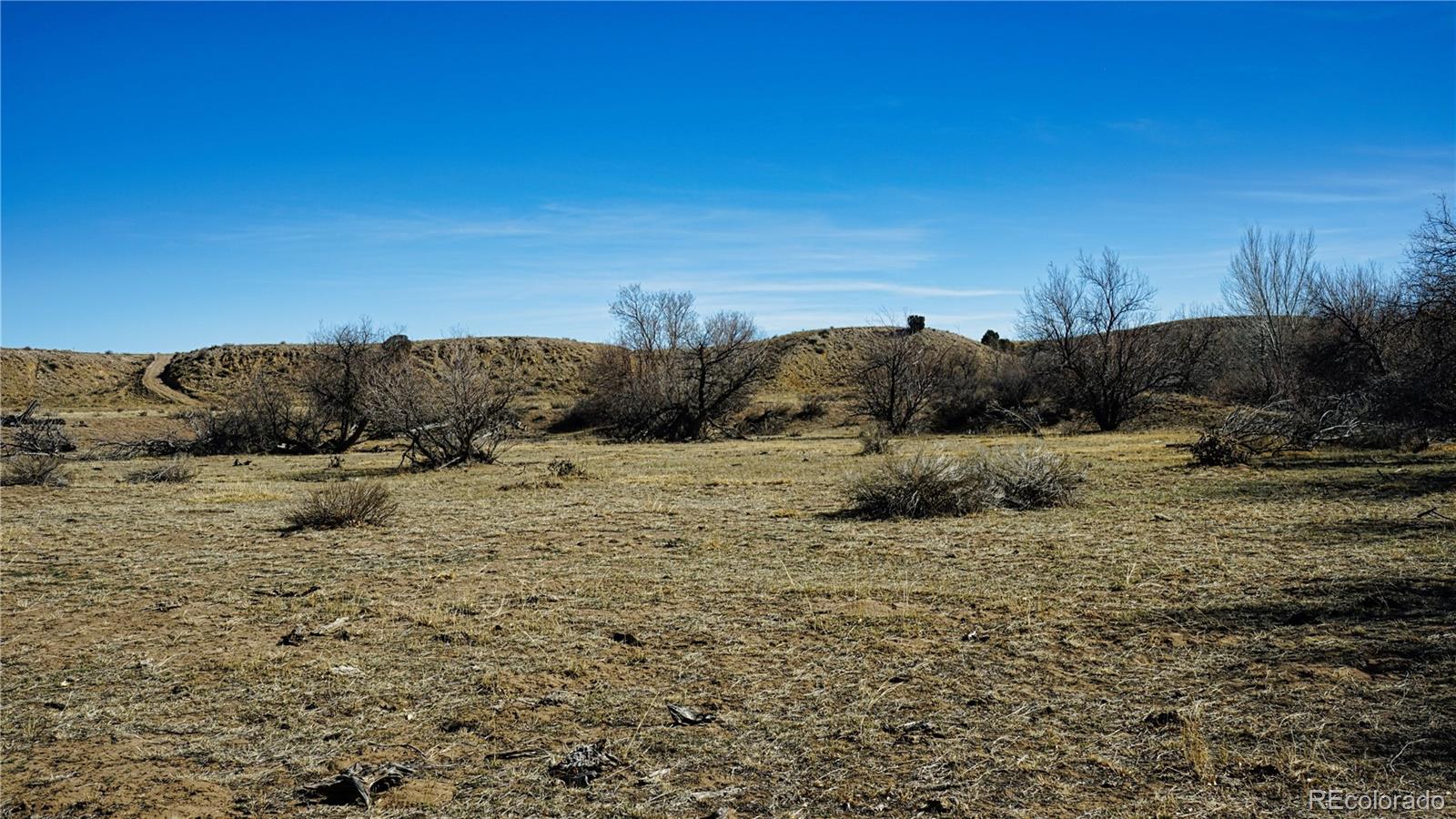 161 Colorado Land & Livestock Rye, CO 81069 - Photo 10 of 22
