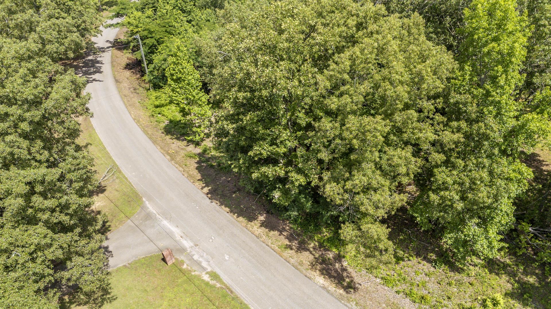 Xxx Oak Grove Road Savannah, TN 38372 - Photo 10 of 29