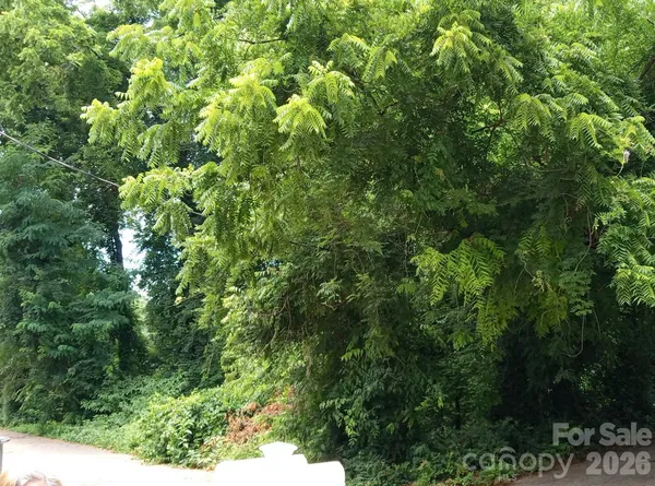$350,000 | 0 Ann Street, Unit 170, Belmont, NC 28012