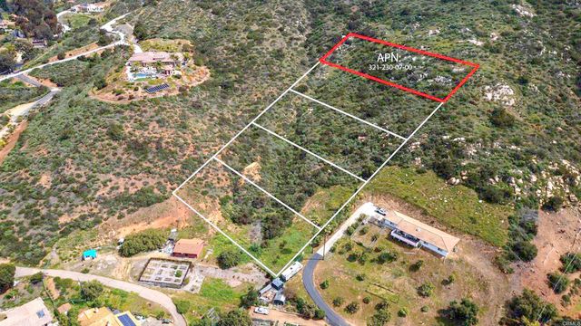 a close up of a tree