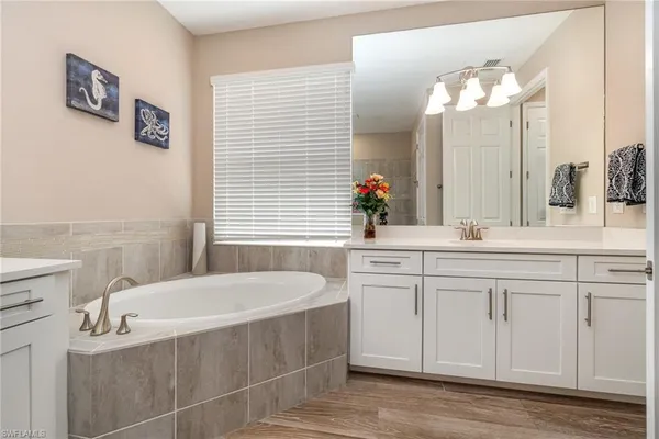 a bathroom with a bathtub a sink and a mirror