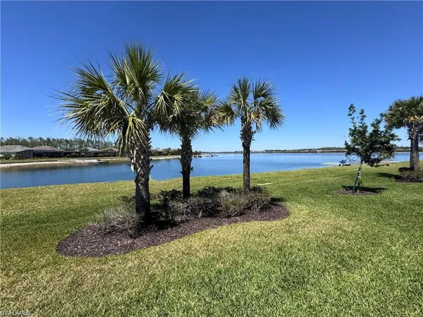 a view of a yard with a palm tree