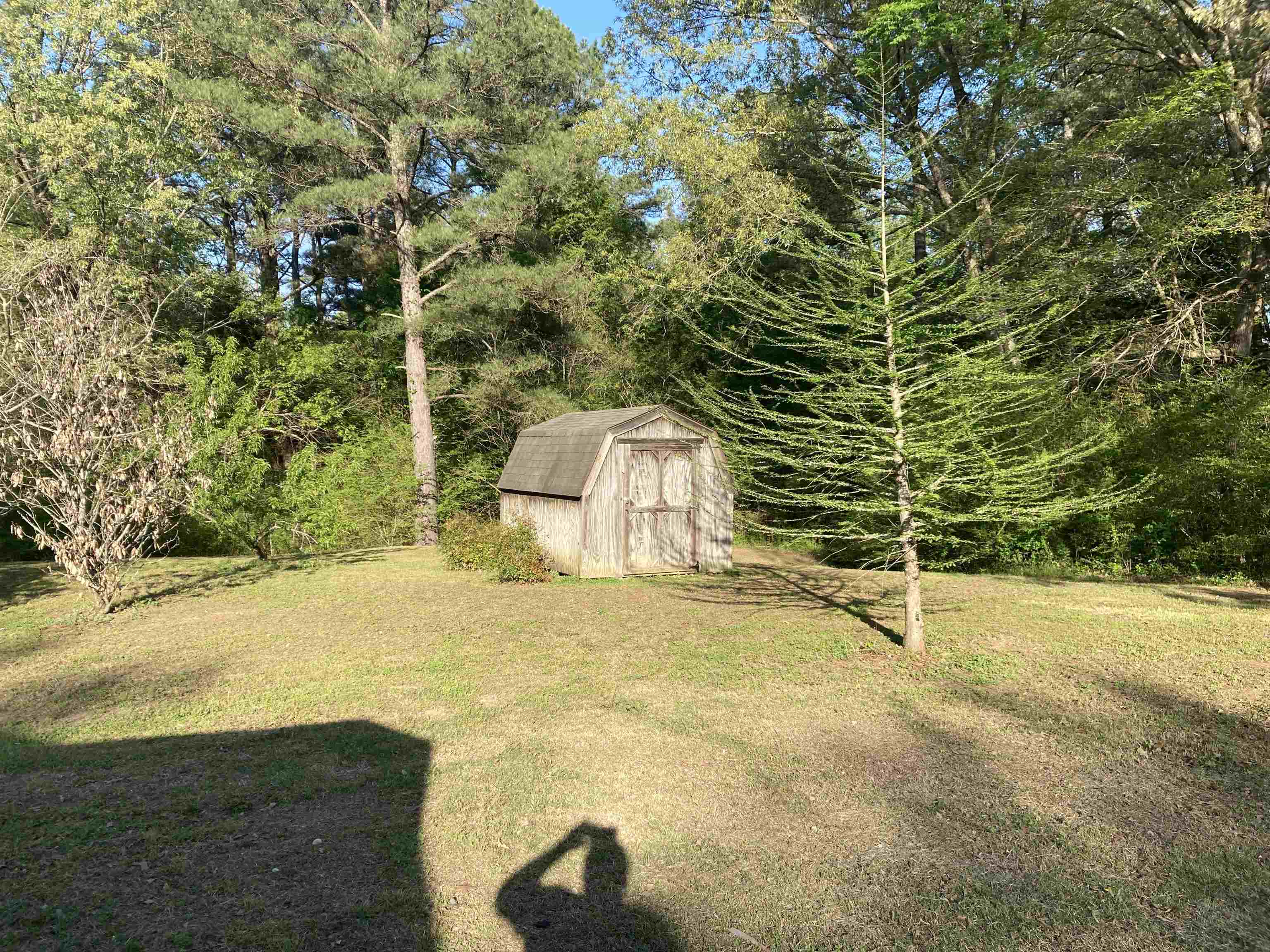 840 Rose Road Somerville, TN 38068 - Photo 21 of 21 View of grassy yard with a storage unit