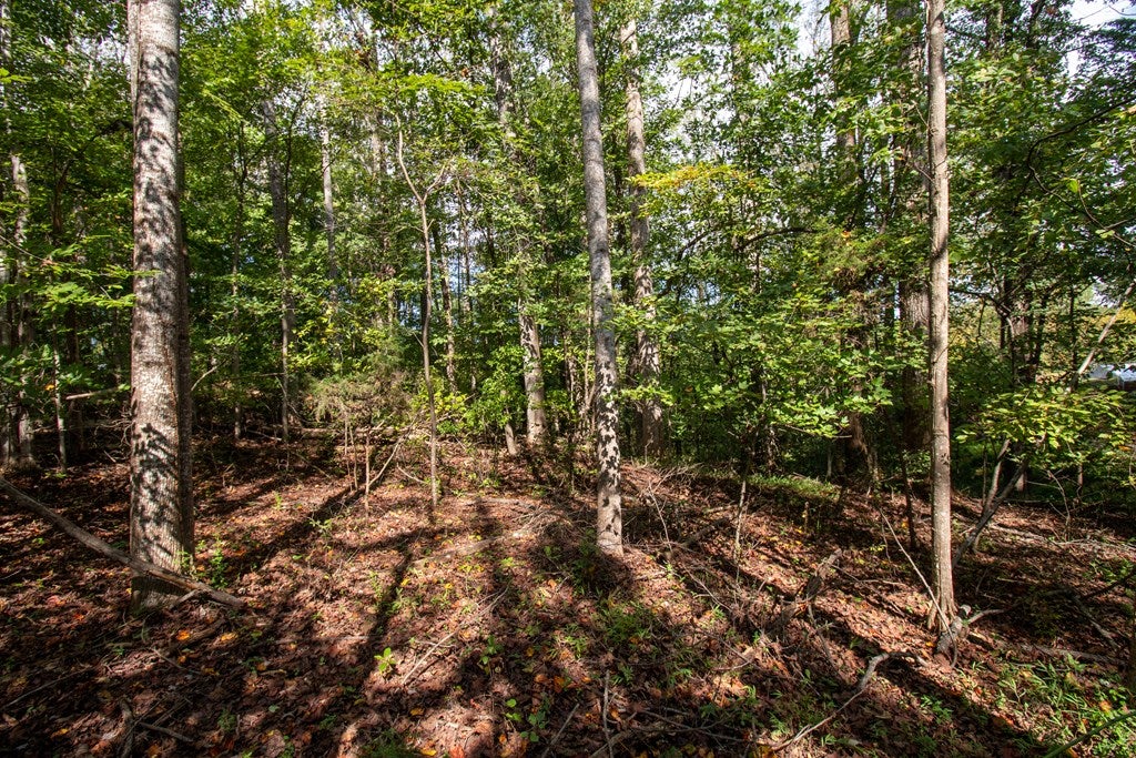 Tbd Golf Course Road, Unit 14 & 38 Spencer, VA 24165 - Photo 6 of 8 Gallery Image 6