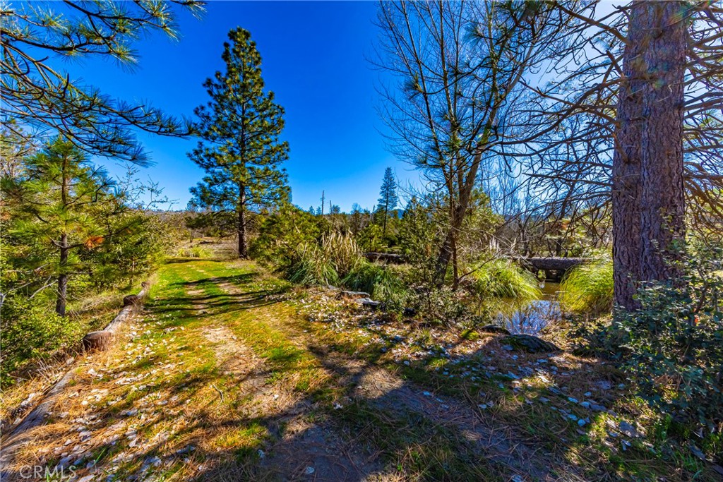 -4.53 Ac Wortham Road Oakhurst, CA 93644 - Photo 12 of 19 a view of a yard