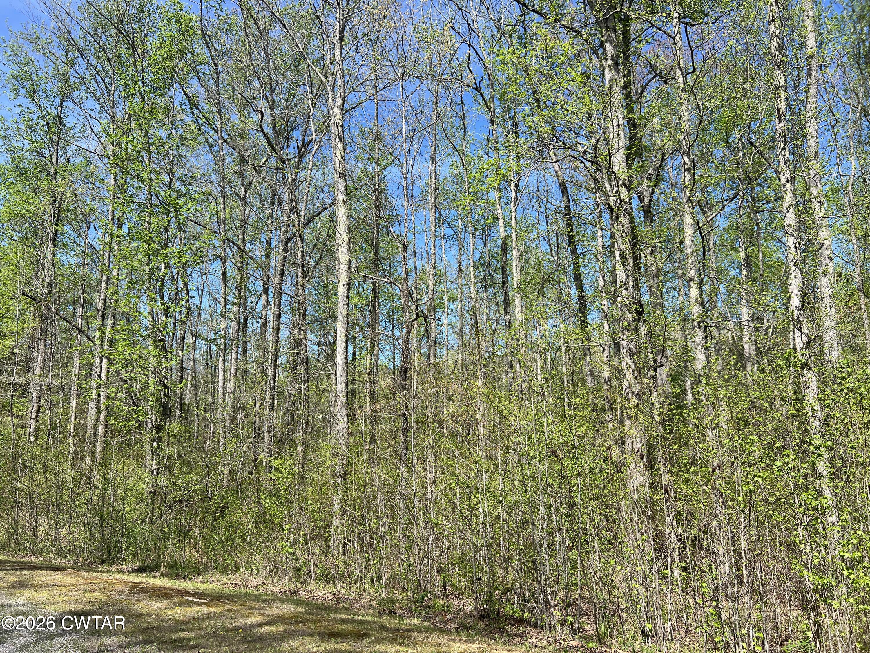 35 Torpedo Court Cedar Grove, TN 38321 - Photo 4 of 8 a view of a garden