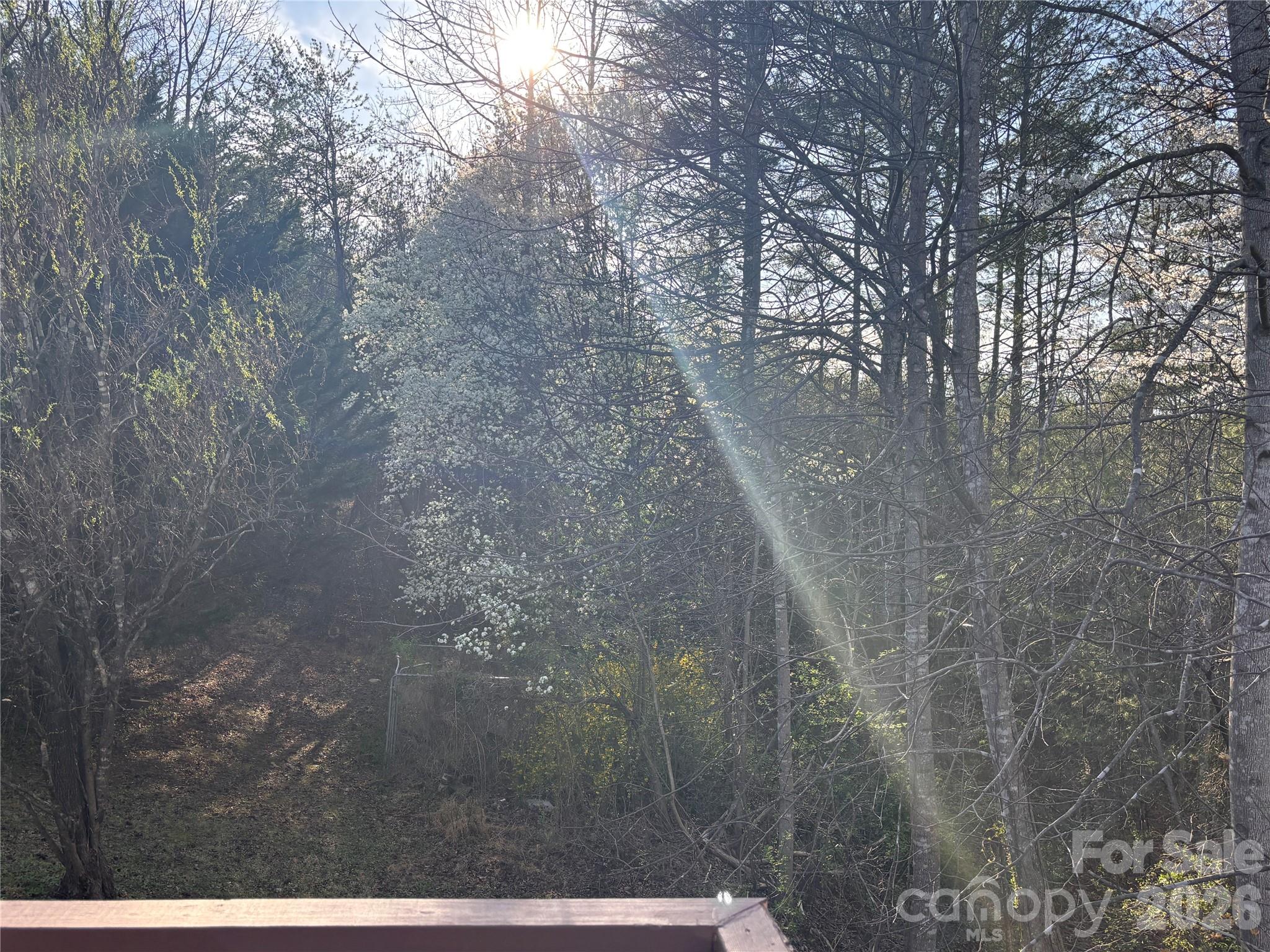 5164 Ralph Winchester Road Lenoir, NC 28645 - Photo 19 of 20 a view of a yard