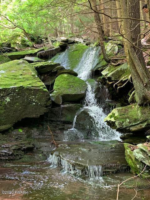 1708 Pine Mill Road Equinunk, PA 18417 - Photo 2 of 65