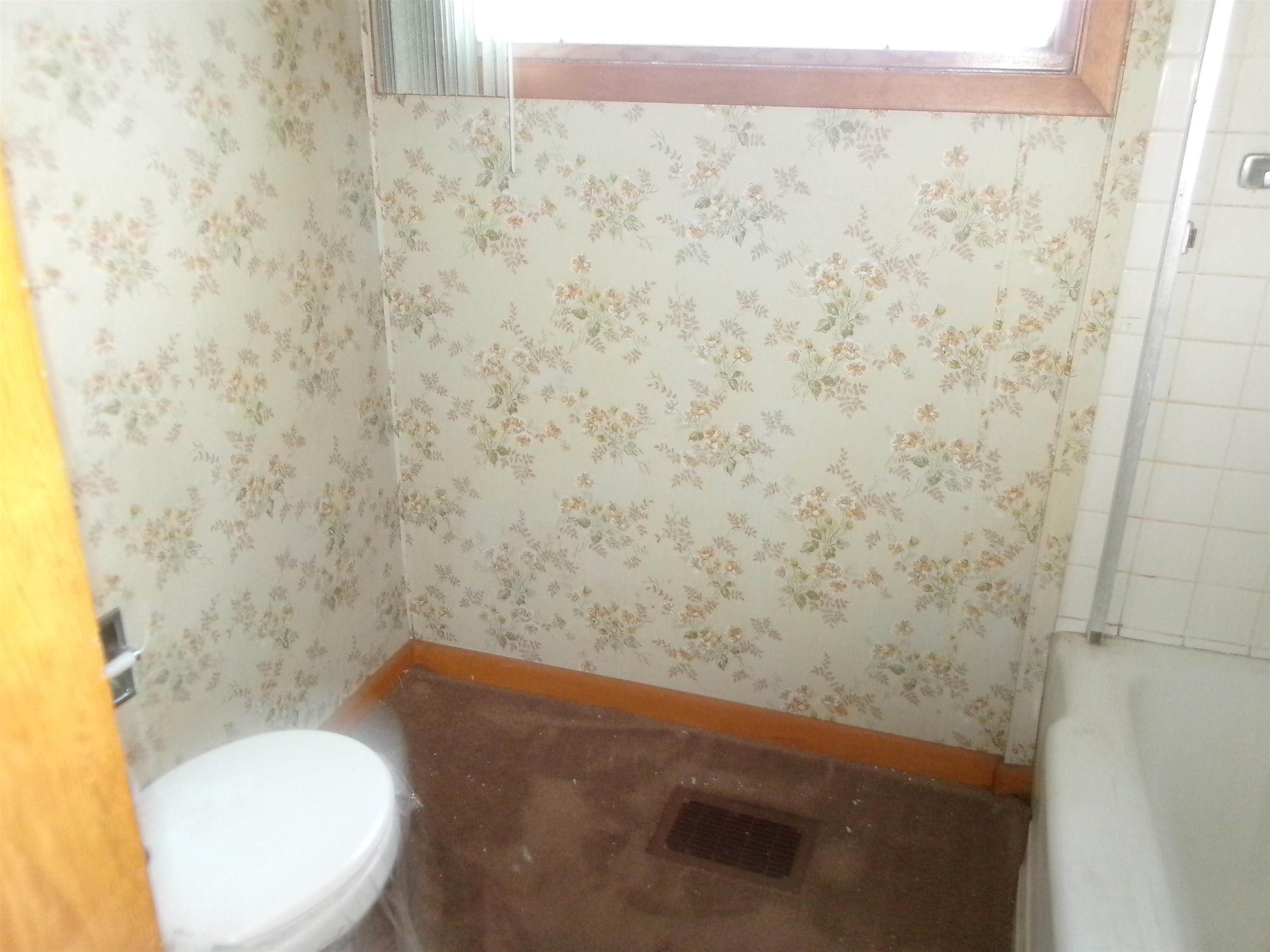 321 Meltzer Street Walnut, IL 61376 - Photo 9 of 10 a bathroom with a toilet and a sink