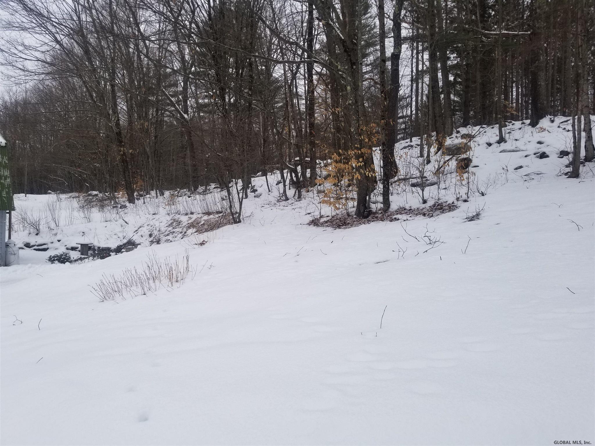 168 West River Road Wells, NY 12190 - Photo 19 of 23 Photo 19