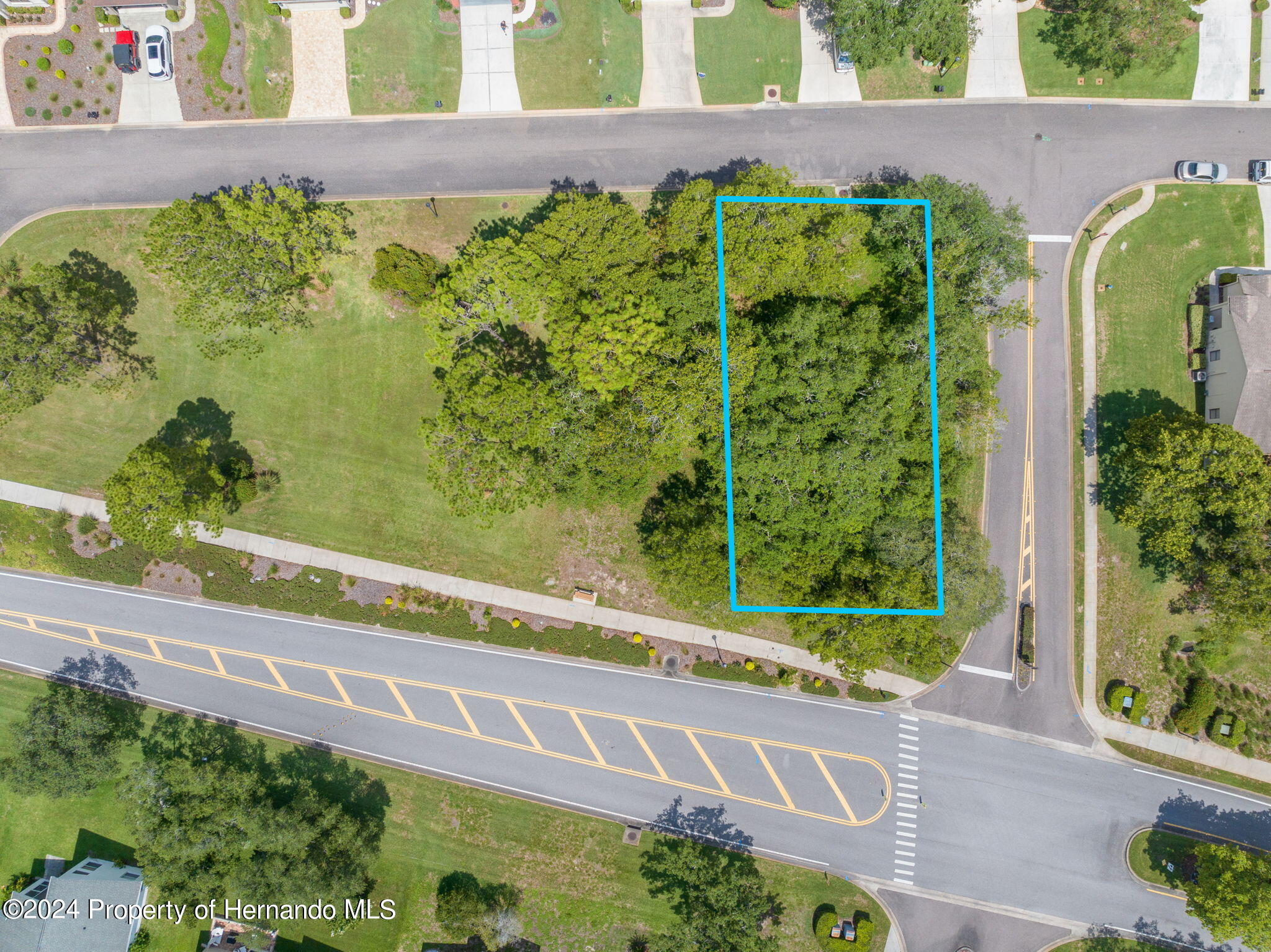 449 Candlestone Court Spring Hill, FL 34609 - Photo 4 of 12 a view of a garden with plants