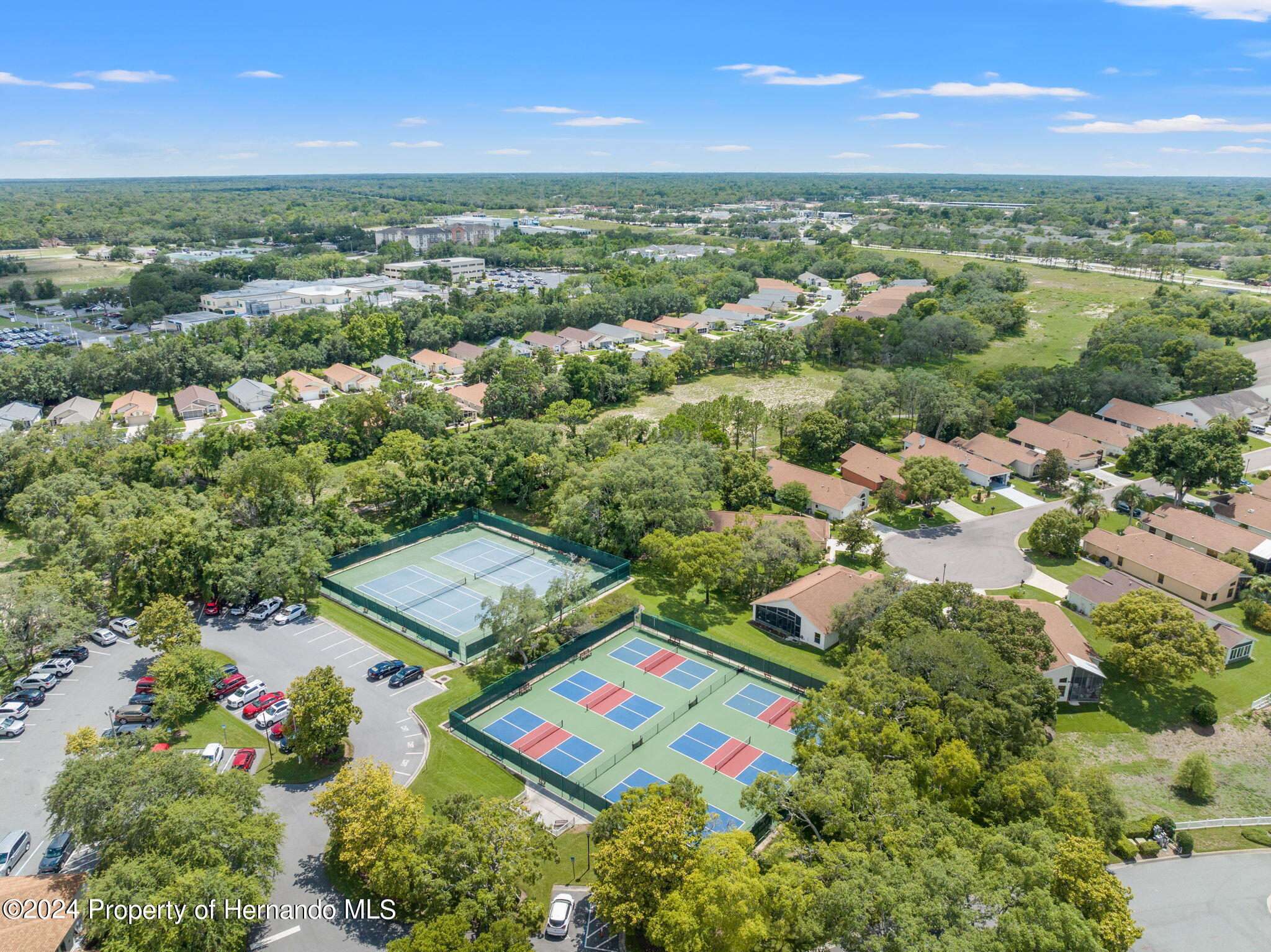 449 Candlestone Court Spring Hill, FL 34609 - Photo 9 of 12 an aerial view of residential house with outdoor space and mountain view in back