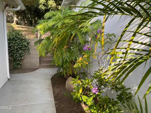 a picture of flowers