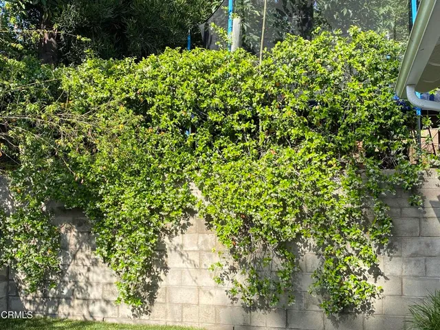 a view of a swimming pool