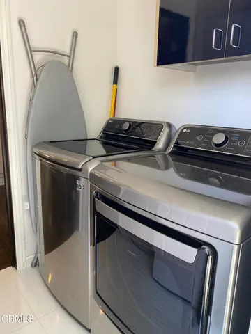 a plant with a flower