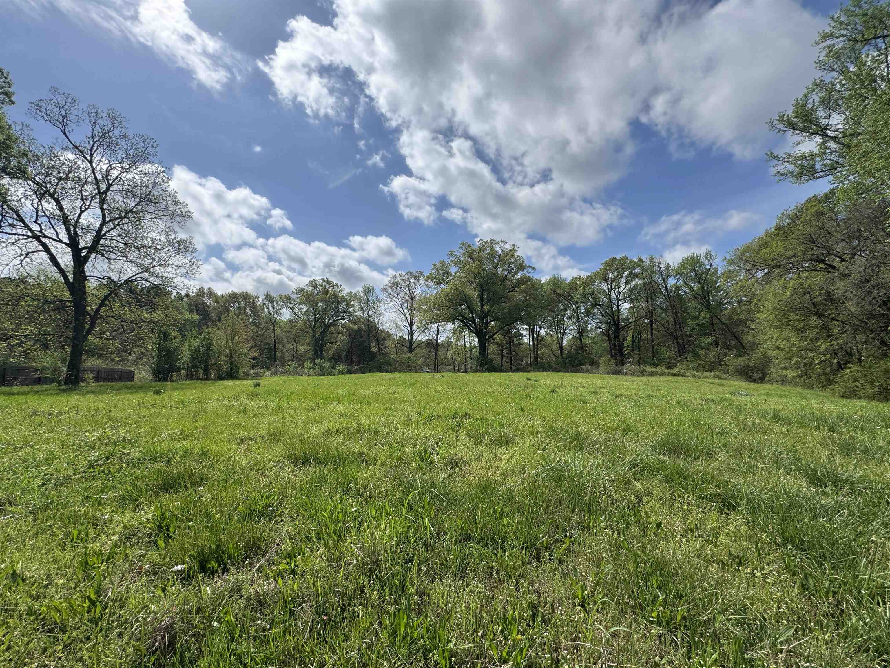 1163 West Raines Road Memphis, TN 38109 - Photo 6 of 8 View of local wilderness