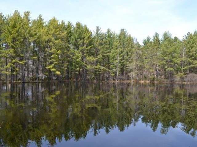 5600 Lake End Road Rhinelander, WI 54501 - Photo 4 of 20 Gallery Image 4