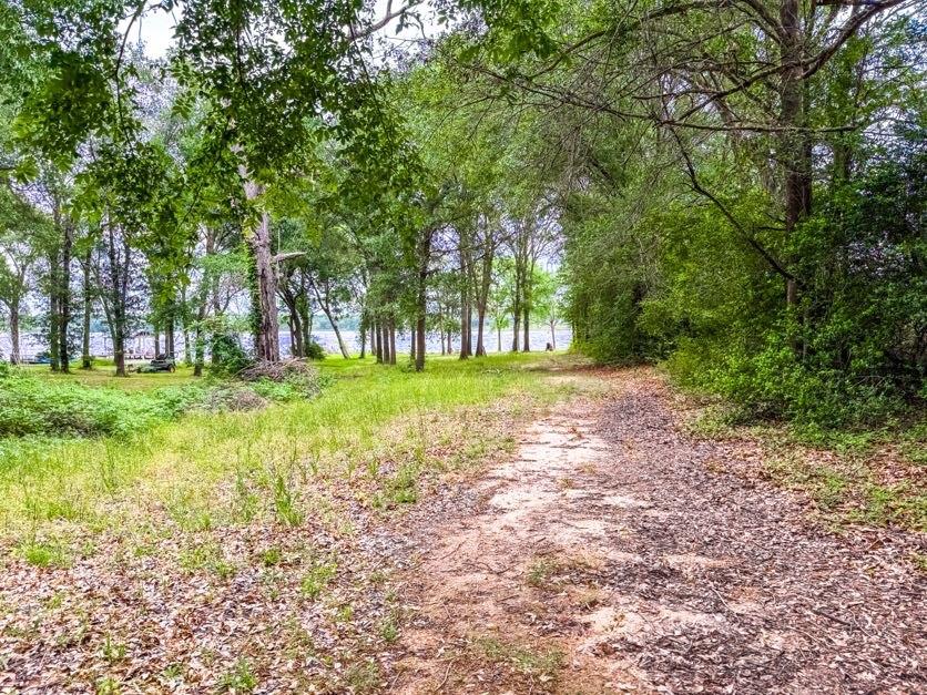 891 Tbd County Road Jewett, TX 75846 - Photo 6 of 22 a view of a park with large trees