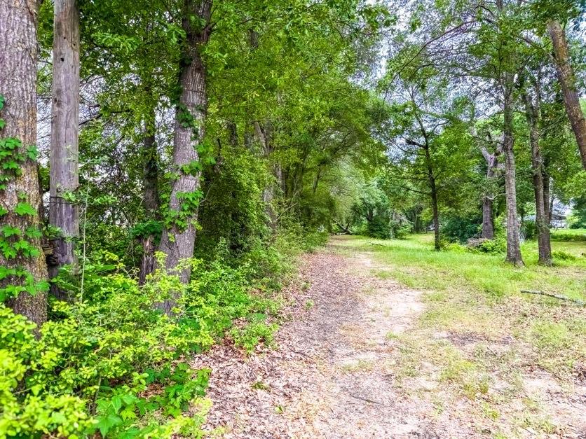 891 Tbd County Road Jewett, TX 75846 - Photo 7 of 22 a view of backyard with green space