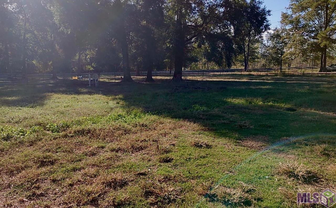 38707 John Lanier Road Walker, LA 70785 - Photo 3 of 3