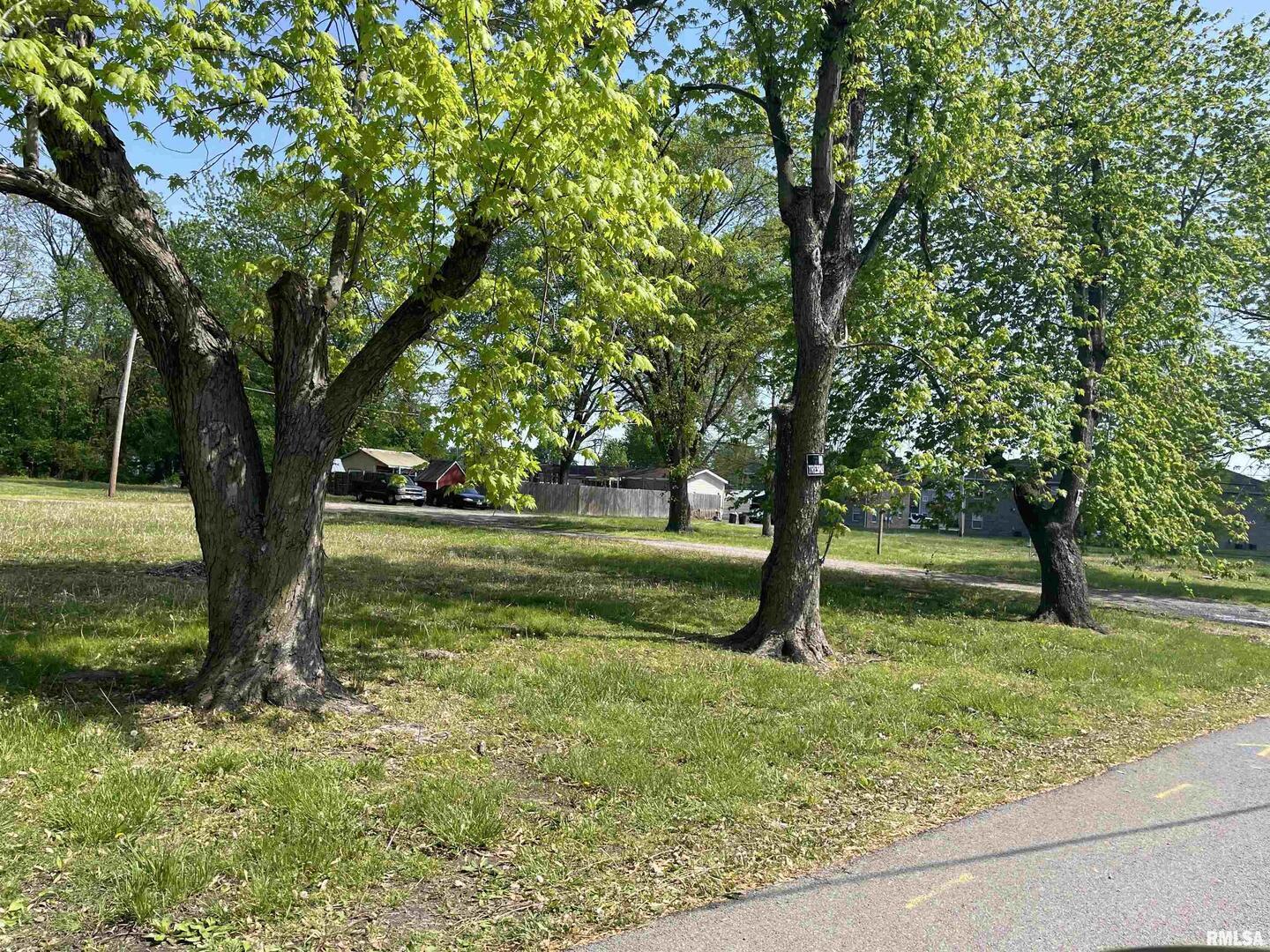 2011 Morgan Avenue Marion, IL 62959 - Photo 3 of 5 a view of backyard with green space