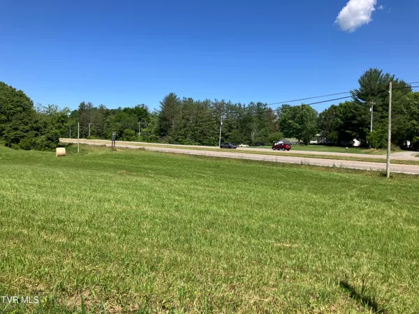 $161,000 | 0 Highway 11e And Armentout Road, Unit 1, Telford, TN 37690