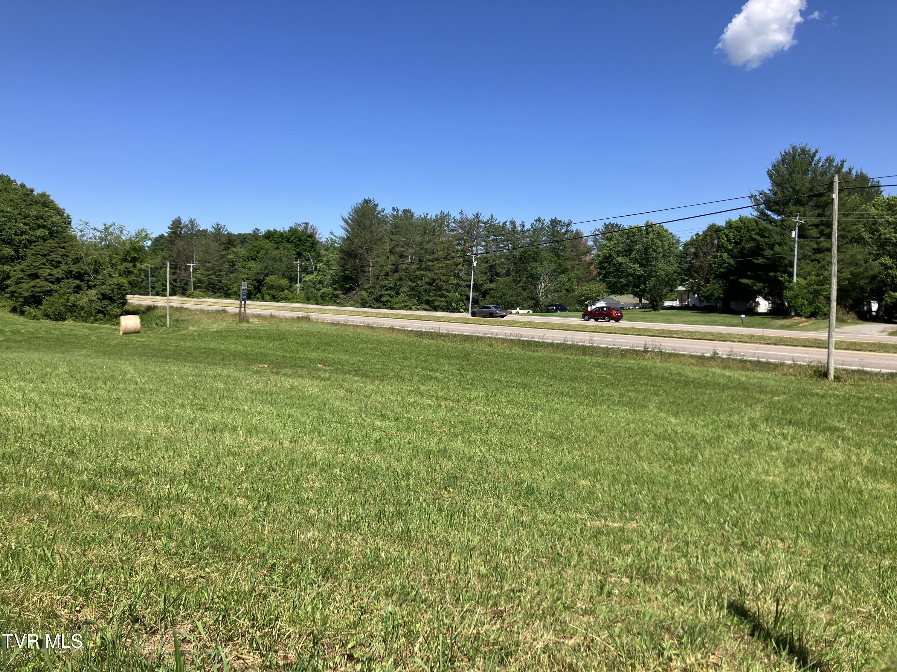 0 Highway 11e And Armentout Road, Unit 1 Telford, TN 37690 - Photo 3 of 4 IMG_1515