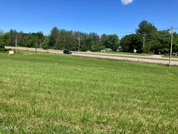 $161,000 | 0 Highway 11e And Armentout Road, Unit 1, Telford, TN 37690