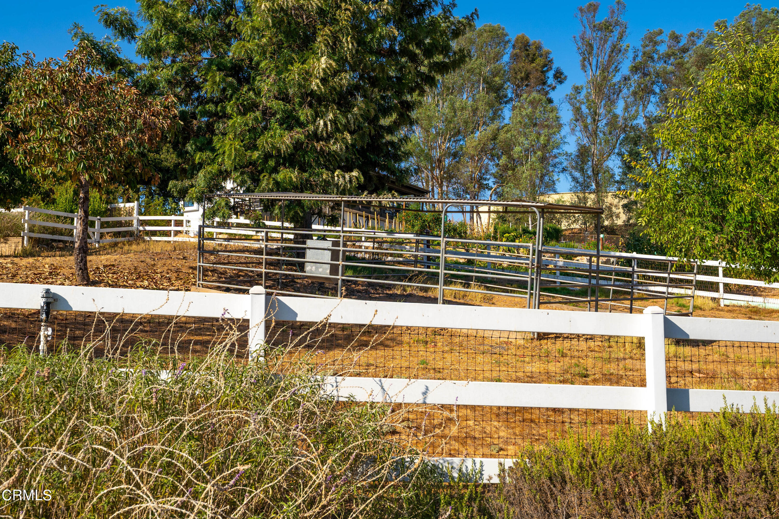 531 Ridgeline Drive Oak View, CA 93022 - Photo 34 of 36 a view of a swimming pool with an outdoor space