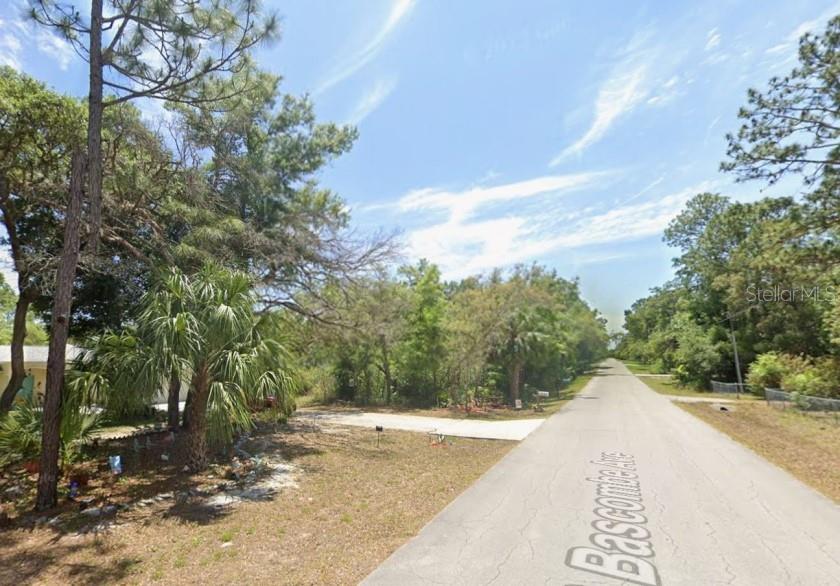 2389 South Bascombe Avenue Homosassa, FL 34448 - Photo 1 of 9 a view of a street view