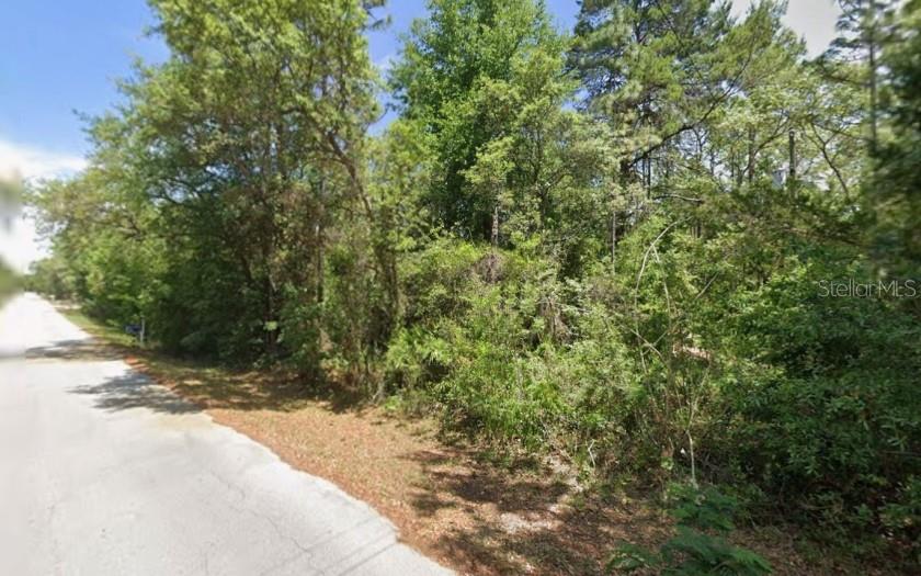 2389 South Bascombe Avenue Homosassa, FL 34448 - Photo 5 of 9 a view of a yard with plants and trees